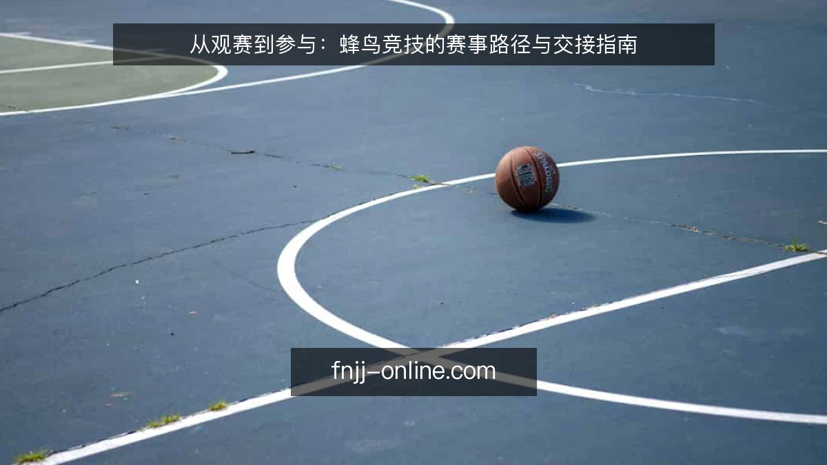 从观赛到参与:蜂鸟竞技的赛事路径与交接指南