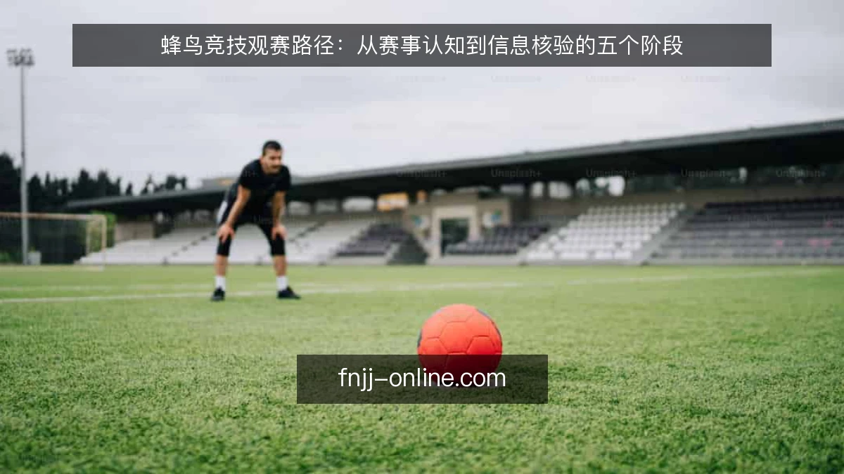 蜂鸟竞技观赛路径:从赛事认知到信息核验的五个阶段