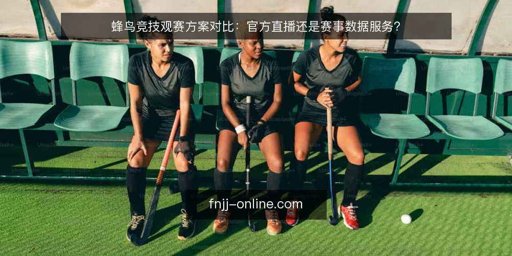 蜂鸟竞技观赛方案对比：官方直播还是赛事数据服务？ — 明确你的观赛核心诉求 配图