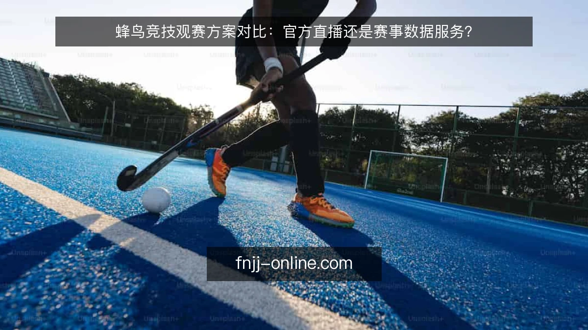 蜂鸟竞技观赛方案对比：官方直播还是赛事数据服务？
