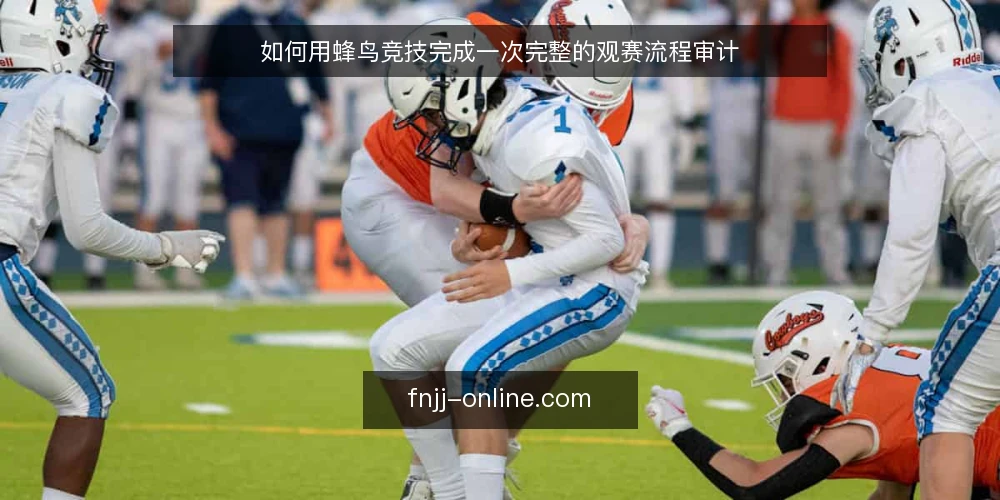 如何用蜂鸟竞技完成一次完整的观赛流程审计 — 为什么现在要审计蜂鸟竞技观赛流程 配图