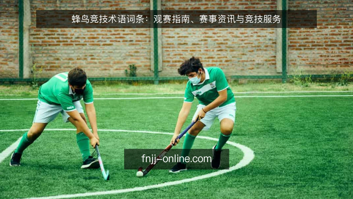 蜂鸟竞技术语词条:观赛指南、赛事资讯与竞技服务