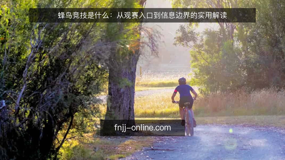 蜂鸟竞技是什么:从观赛入口到信息边界的实用解读