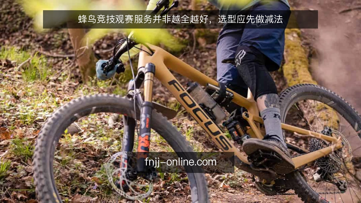 蜂鸟竞技观赛服务并非越全越好，选型应先做减法